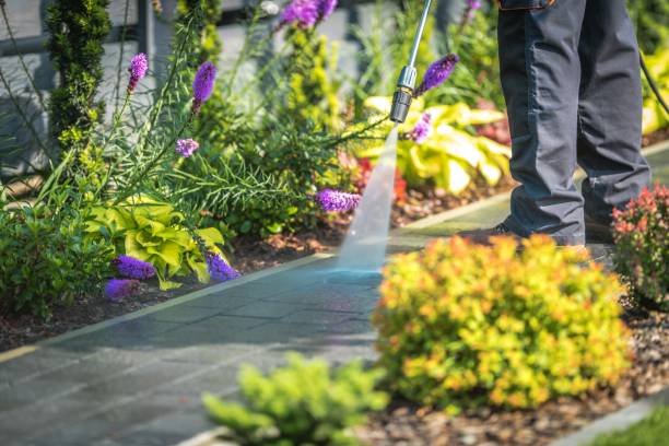 Best Boat and Dock Cleaning  in Spring Arbor, MI