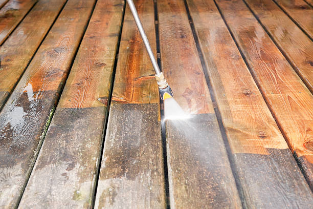 Best Sidewalk and Walkway Cleaning  in Spring Arbor, MI